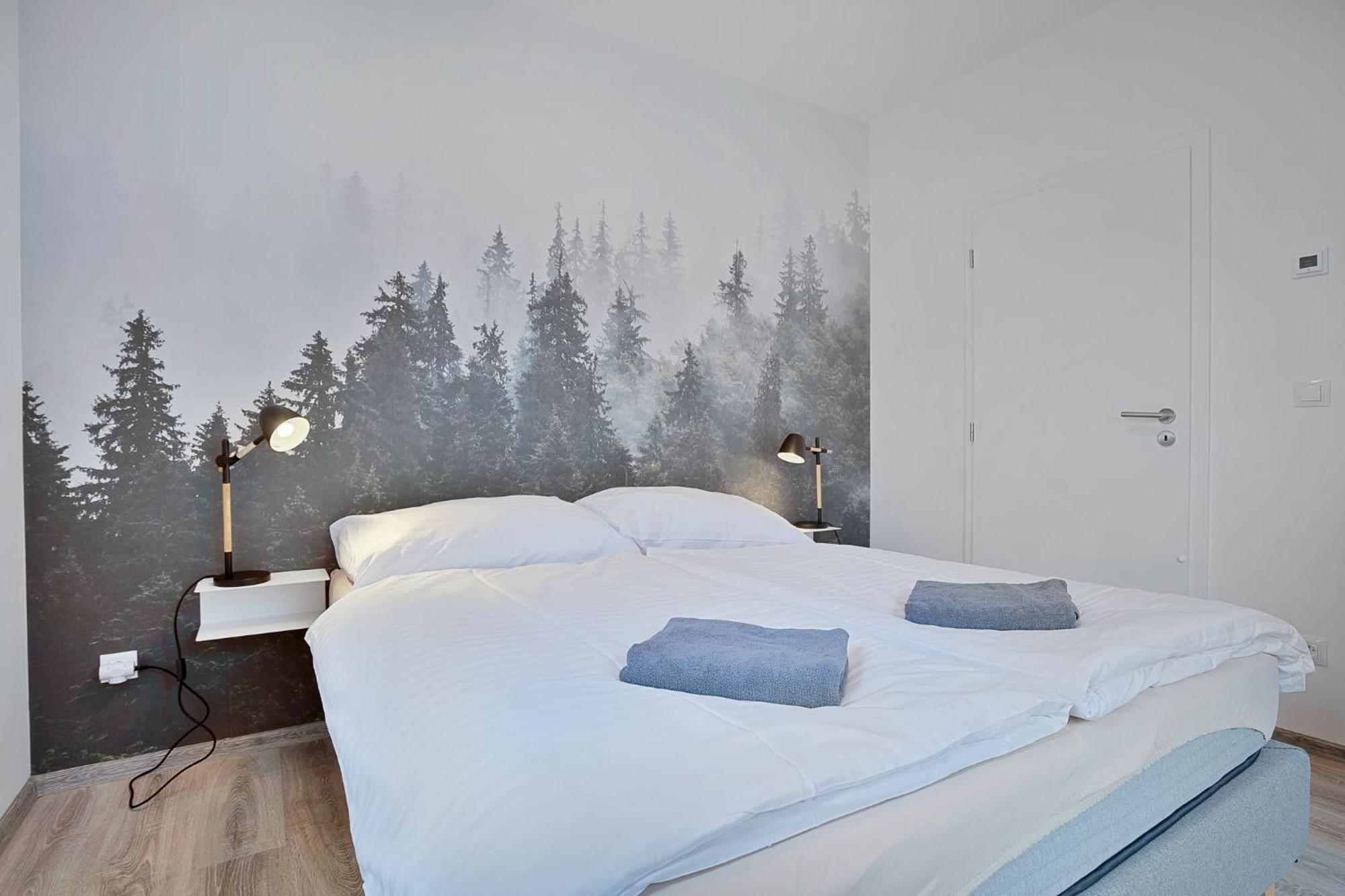 Mirabel Apartments Klinovec Loučná pod Klínovcem Eksteriør billede